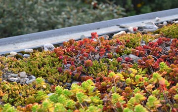 the cost of Red Rail green roof installation