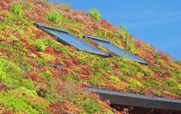 Red Rail living roof systems