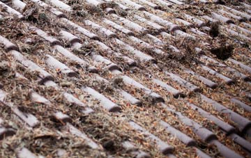 Red Rail roof cleaning companies