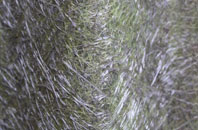 Red Rail fibreglass roof work